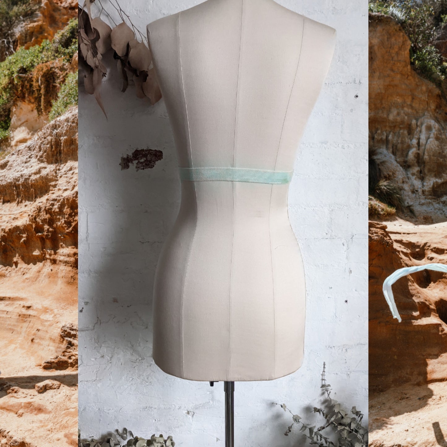 Algae Harness