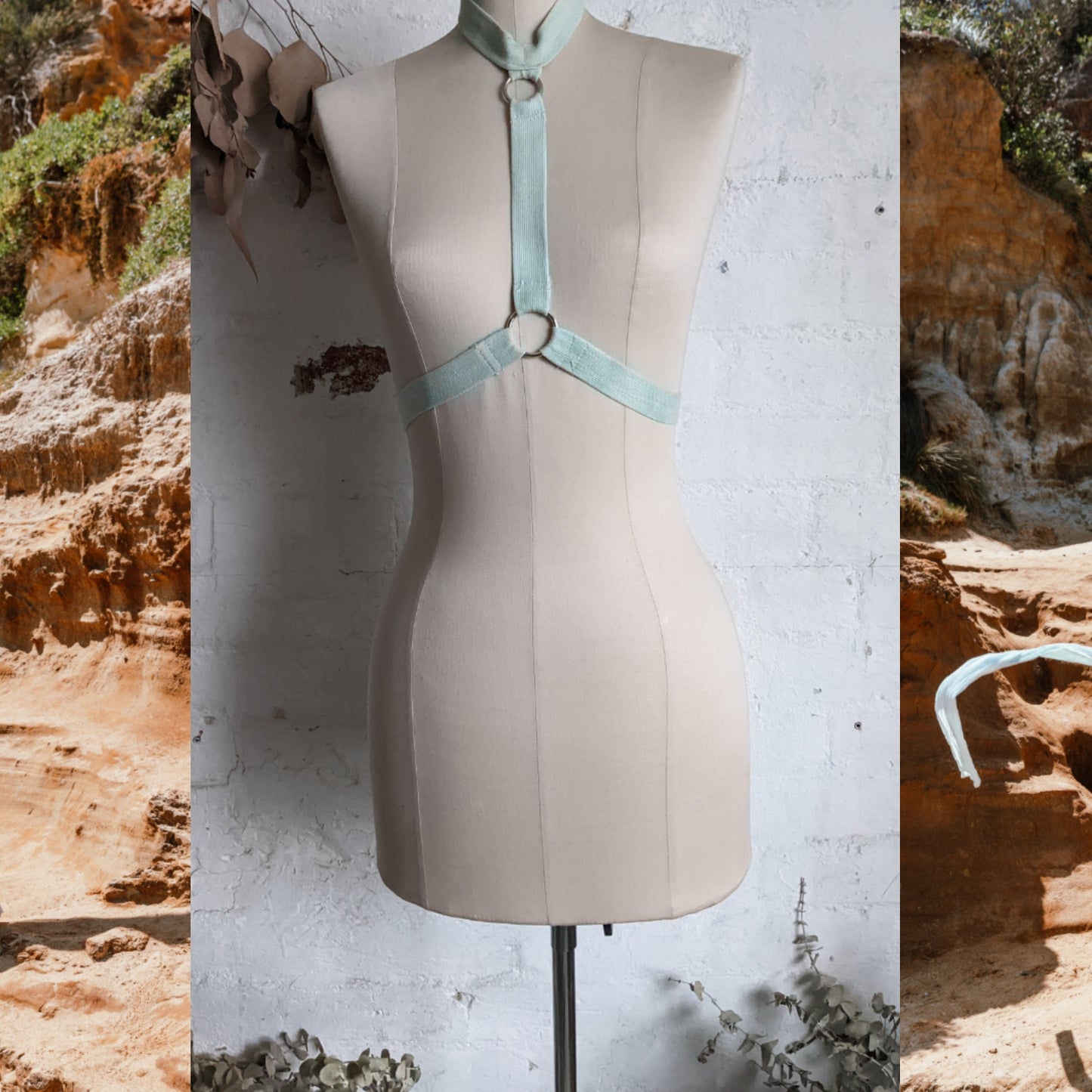 Algae Harness